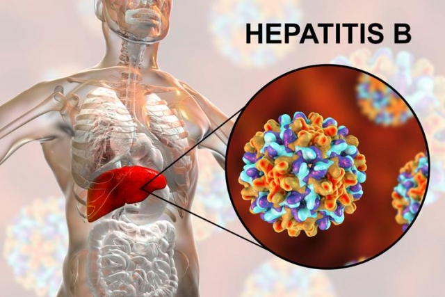Вірусний гепатит В – небезпечне захворювання, одужання від якого залежить від раннього виявлення та вчасно розпочатого лікування